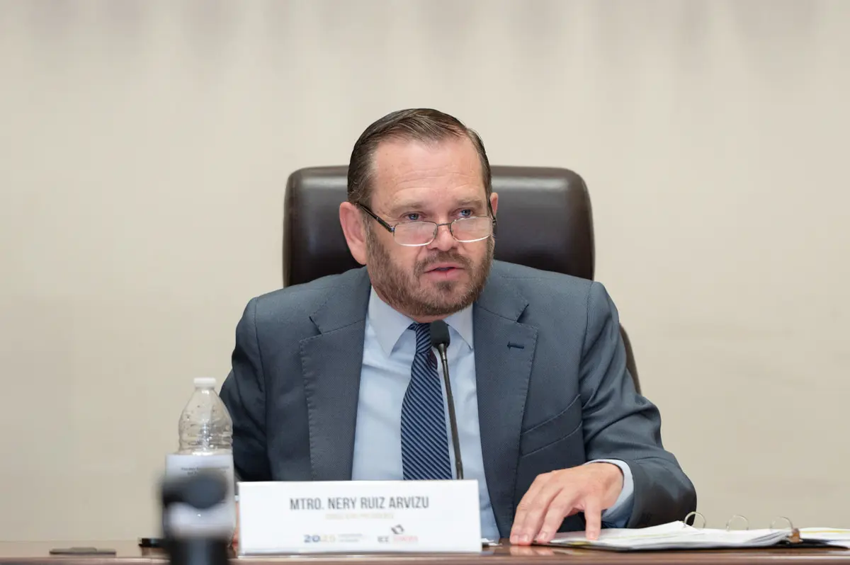Ttular del Instituto Estatal Electoral (IEE), Nery Ruíz Arvizu