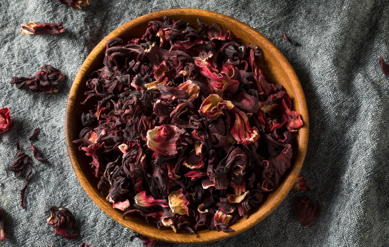 ¿Conocías el poder curativo de la flor de jamaica?