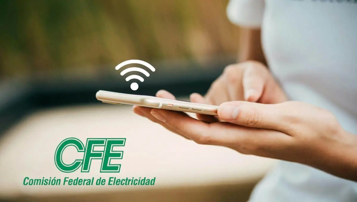 Descubre como acceder a este plan de internet / Pexels