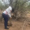 Buscadoras por la Paz reciben llamado de Esqueda