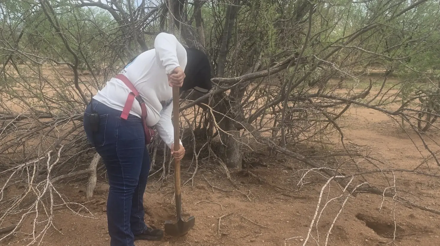 Colectivo de Buscadoras por la Paz Sonora en trabajo de búsqueda