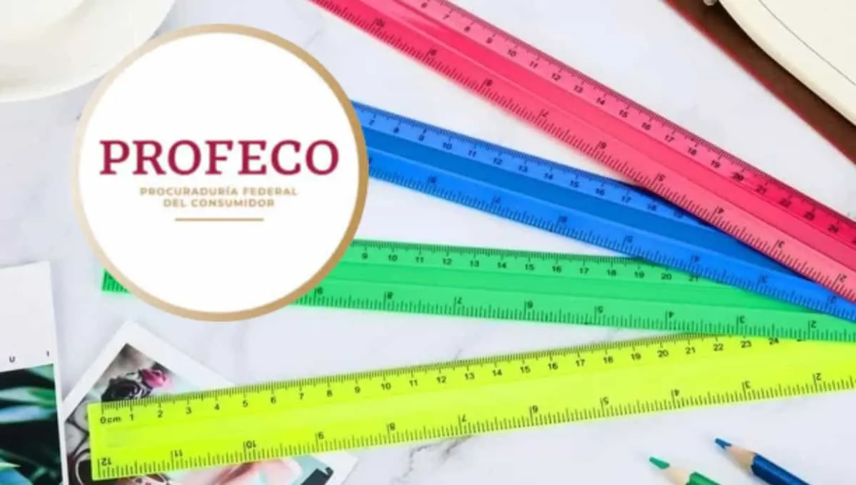 Profeco revela las mejores reglas de plástico del mercado. Foto: Original
