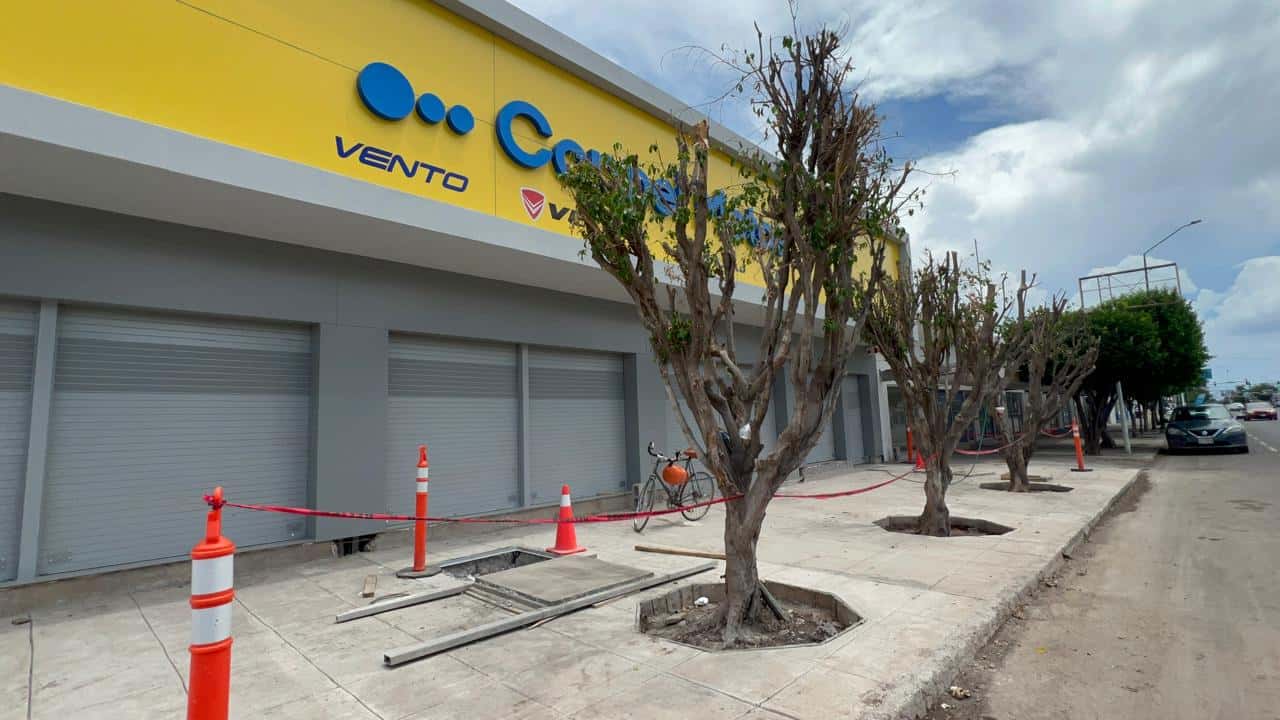 En Cajeme siguen las multas por poda inmoderada