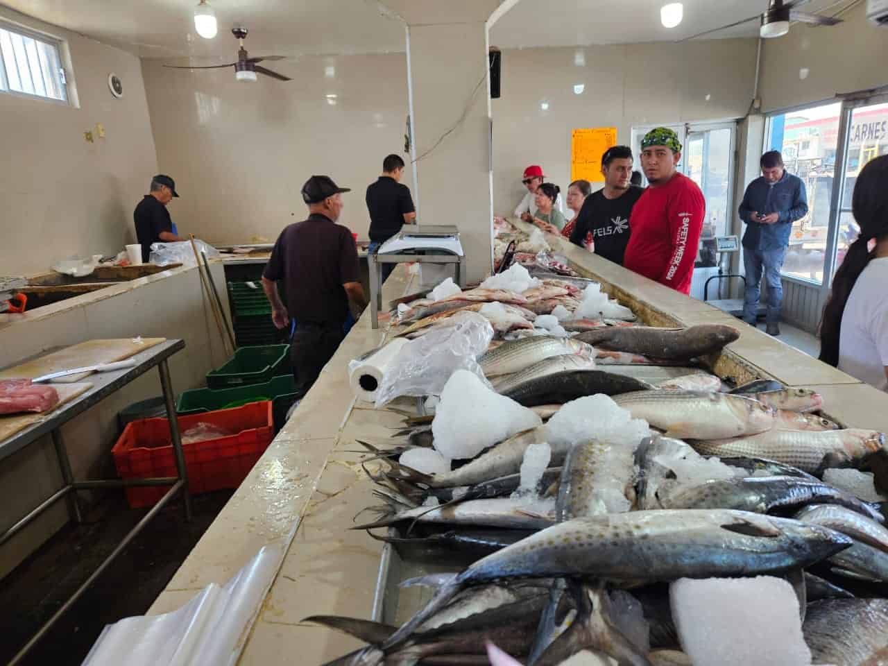 Persiste desabasto de productos pesqueros
