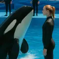 ¿Quién es Jessica Radcliffe? La chica que causó revuelo por video junto a una orca