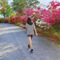 Japanese Walking: ¿Cómo es este entrenamiento en tendencia que tonifica, quema grasa y mejora la salud?