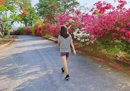 Japanese Walking: ¿Cómo es este entrenamiento en tendencia que tonifica, quema grasa y mejora la salud?
