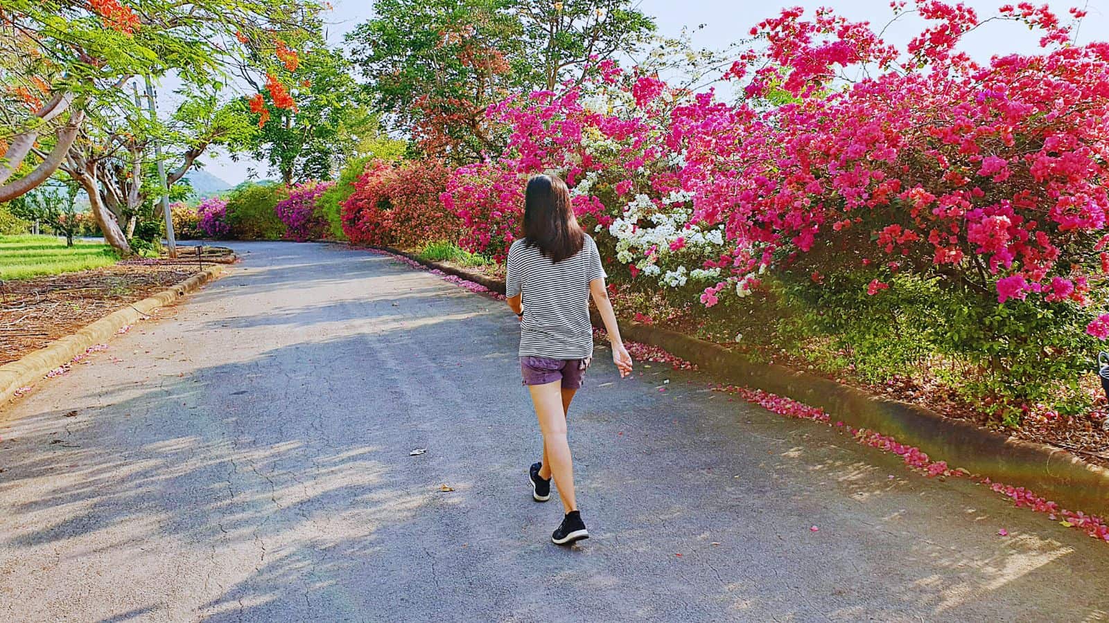 Japanese Walking: ¿Cómo es este entrenamiento en tendencia que tonifica, quema grasa y mejora la salud?