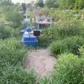 Panteones de Navojoa en amenaza activa por dengue