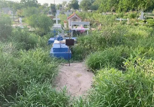 Panteones de Navojoa en amenaza activa por dengue