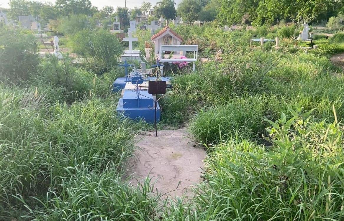 Panteones de Navojoa en amenaza activa por dengue