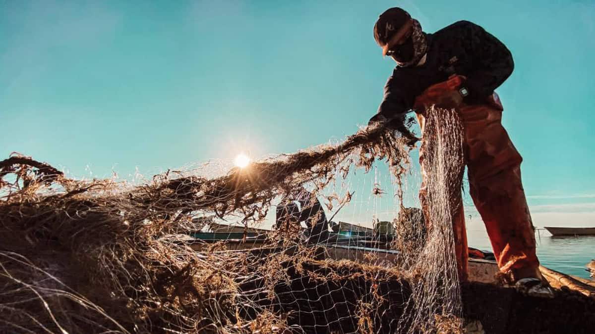 Pescadores buscan regularizar permisos