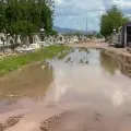 Falta limpieza en Panteón de Guadalupe