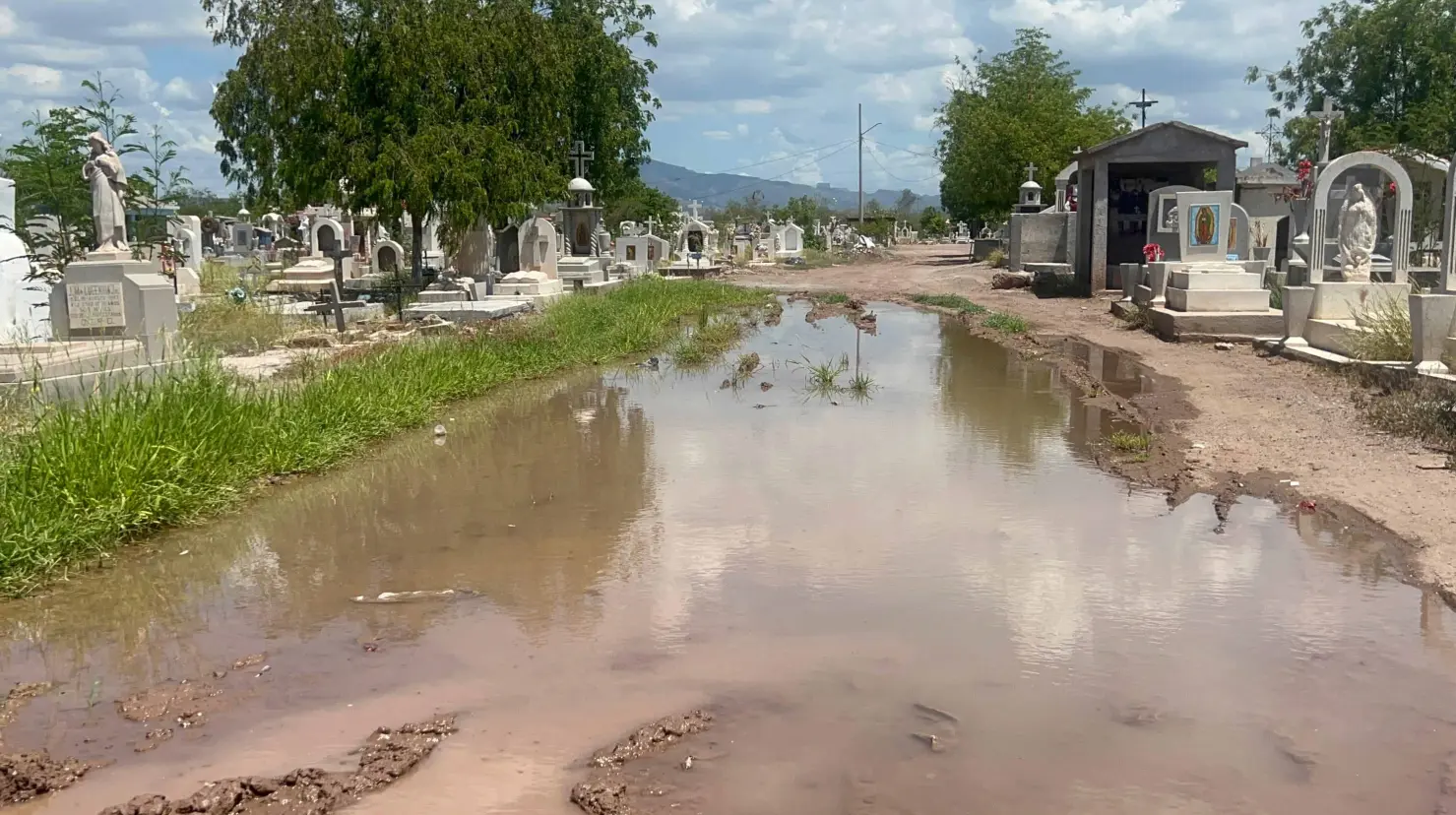 Agua limpia se estanca en encharcamiento