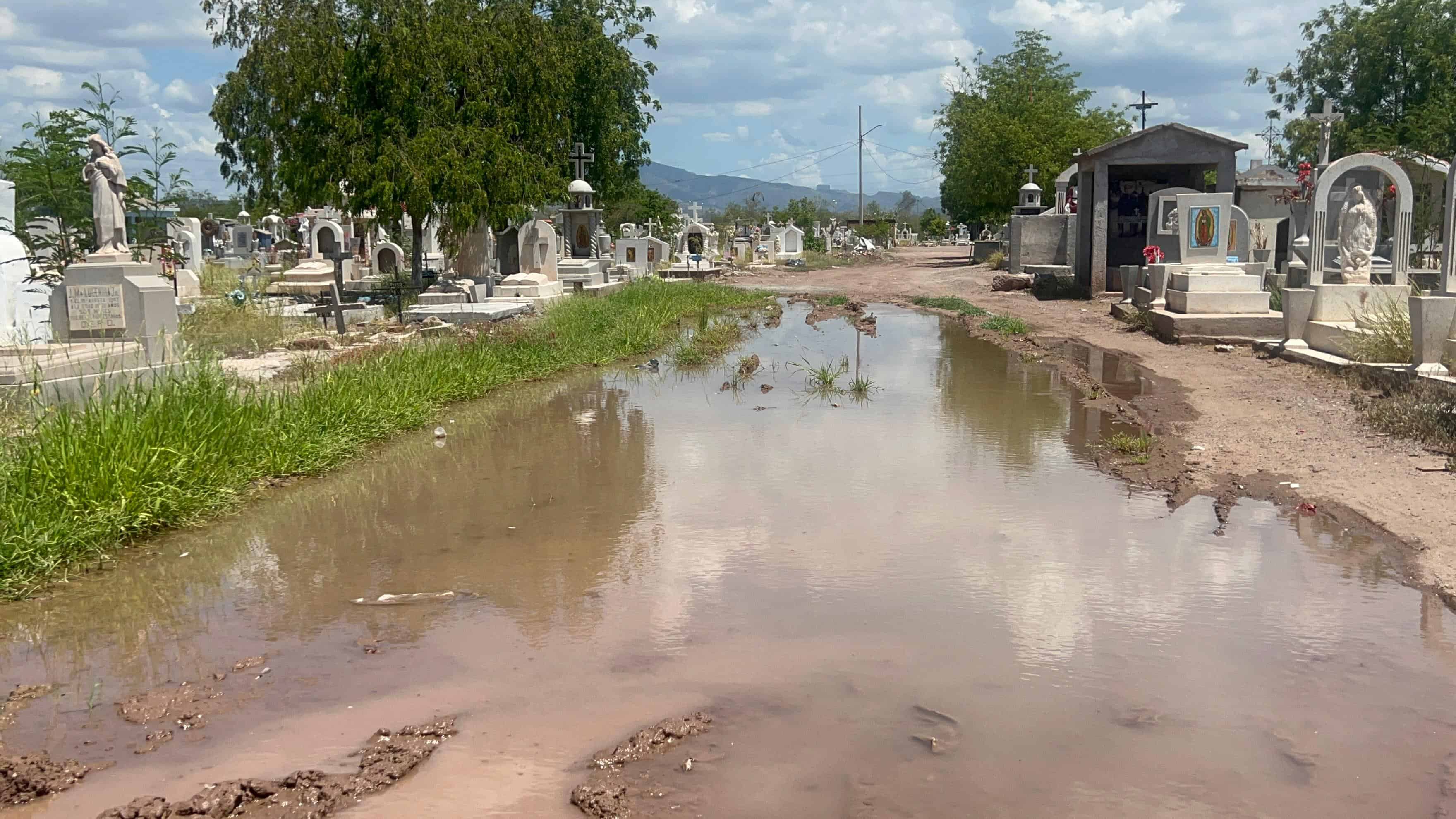 Falta limpieza en Panteón de Guadalupe