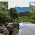 Sierra de Álamos-Río Cuchujaqui: Un paraíso natural en el sur de Sonora