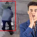VIDEO | Pareja roba maceta de una funeraria de mascotas en Culiacán y la viralizan