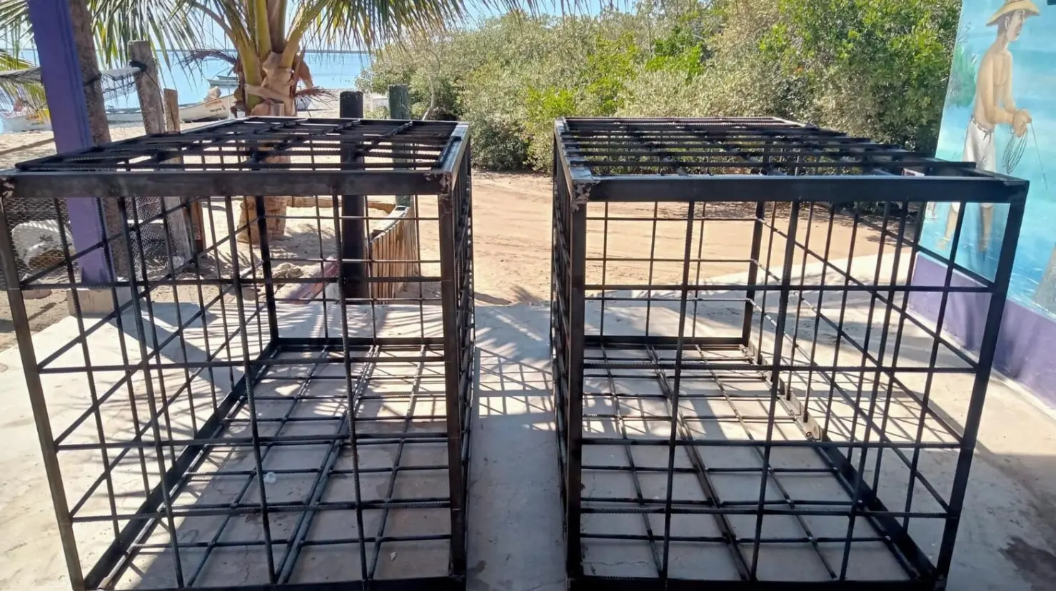 Pescadores del sur de Sonora piden que se quite prohibición de jaulas anti-tiburón