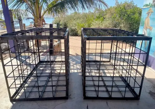 Pescadores del sur de Sonora piden que se quite prohibición de jaulas anti-tiburón