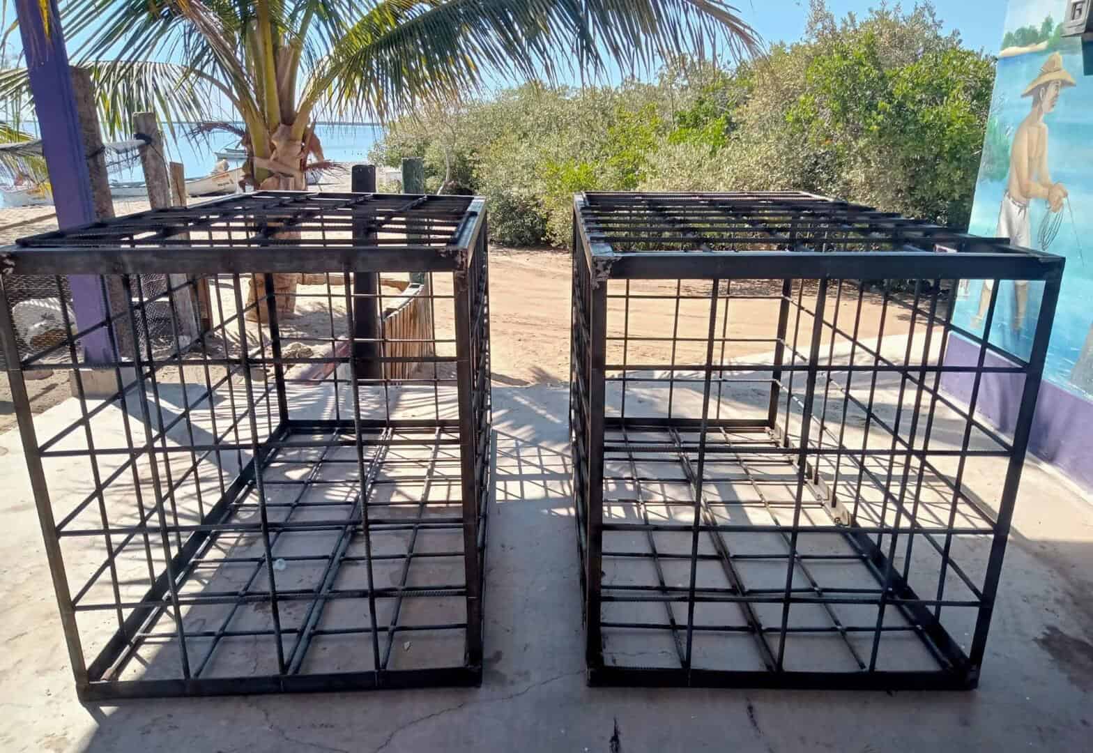 Pescadores del sur de Sonora piden que se quite prohibición de jaulas anti-tiburón