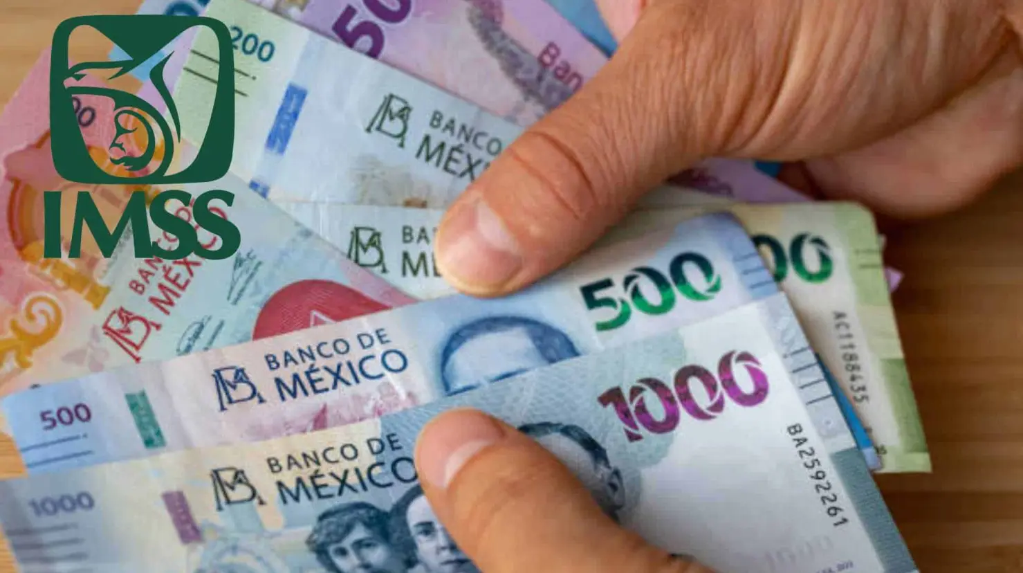 Pensión IMSS Ley 73: Este será el pago mínimo que recibirán los jubilados en septiembre de 2025