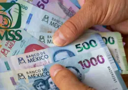 Pensión IMSS Ley 73: Este será el pago mínimo que recibirán los jubilados en septiembre de 2025