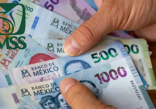 Pensión IMSS Ley 73: Este será el pago mínimo que recibirán los jubilados en septiembre de 2025
