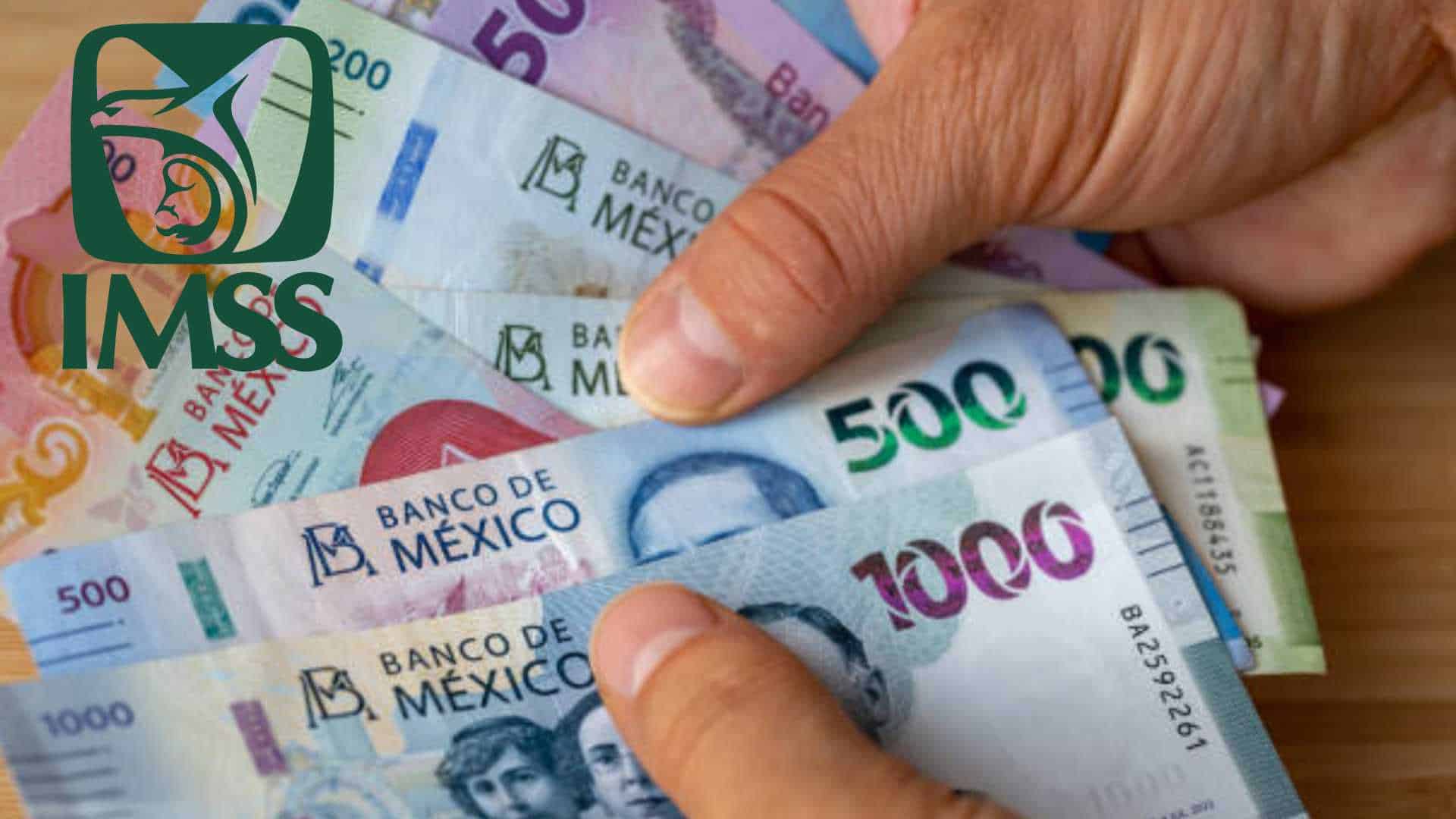 Pensión IMSS Ley 73: Este será el pago mínimo que recibirán los jubilados en septiembre de 2025