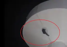 VIDEO | Joven hombre sube a tanque de agua y muere al caer de lo más alto; los hechos en Chihuahua