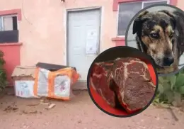 Fiscalía de Sonora asegura que la carne que encontraron en casa de Nogales es de res y no de perro