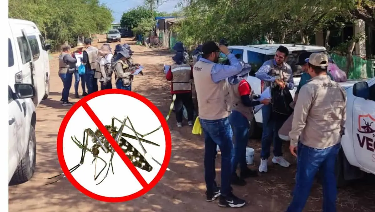 Siguen las jornadas de prevención contra el dengue en Sonora / @ssaludsonora