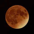 Eclipse Lunar total 2025: Todo lo que debes saber del fenómeno astronómico
