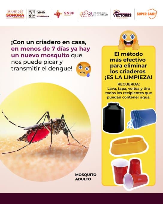 imagen-cuerpo imagen-cuerpo