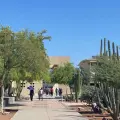Reforestarán el Itson