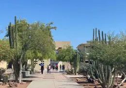 Reforestarán el Itson