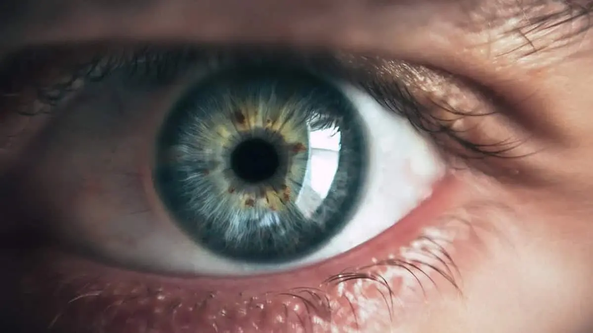 ¿Problemas de la vista? Esta vitamina que no es la A podría prevenir las cataratas