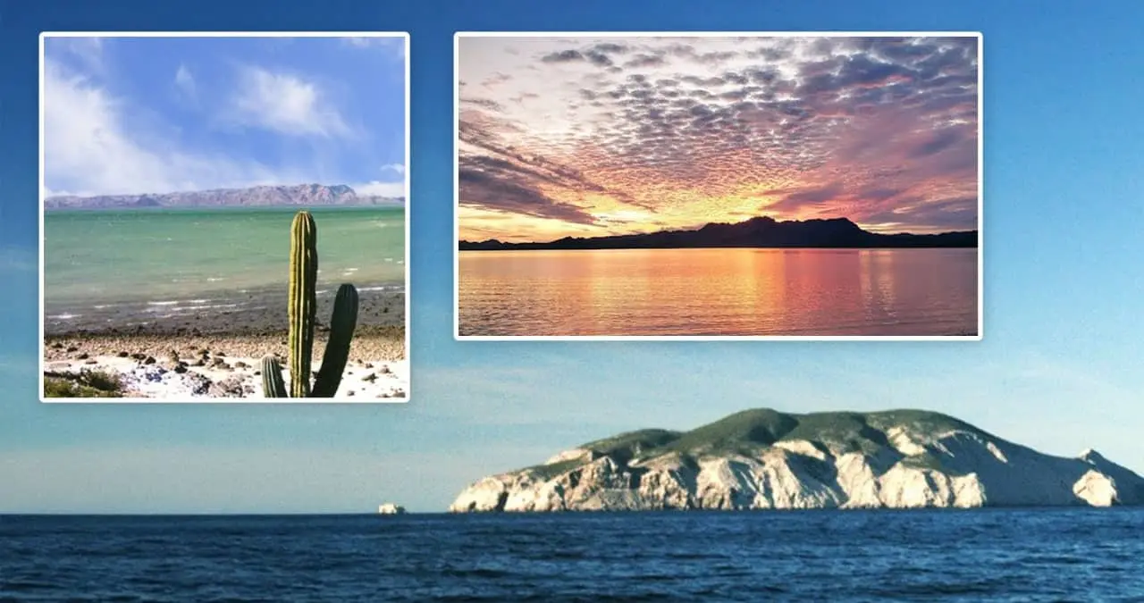 Islas Tiburón y San Pedro Mártir, Maravillas Naturales de Sonora. Fotos: Gob MX y Destinos Sonora.