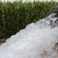 Arranca ciclo agrícola