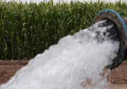 Arranca ciclo agrícola