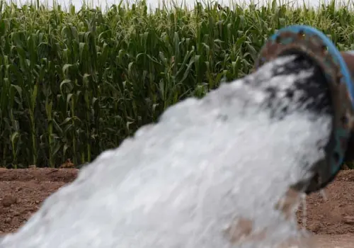 Arranca ciclo agrícola