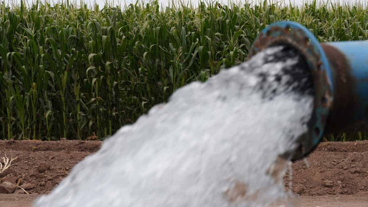 Arranca ciclo agrícola