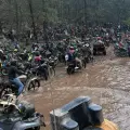 Rutalikazo 2025 moviliza Álamos