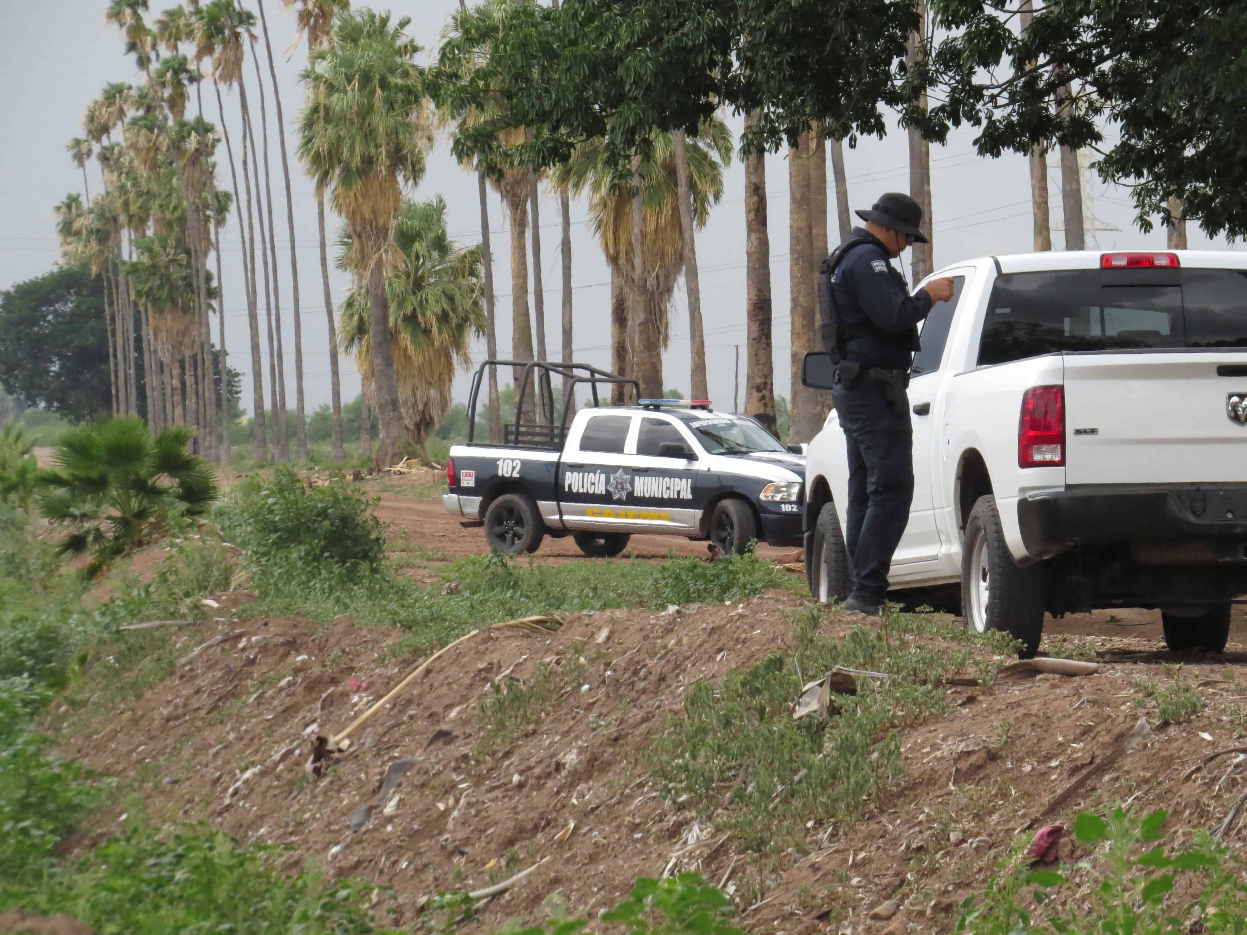 Guerreras Buscadoras hallan restos de hombre asesinado en el Valle del Yaqui