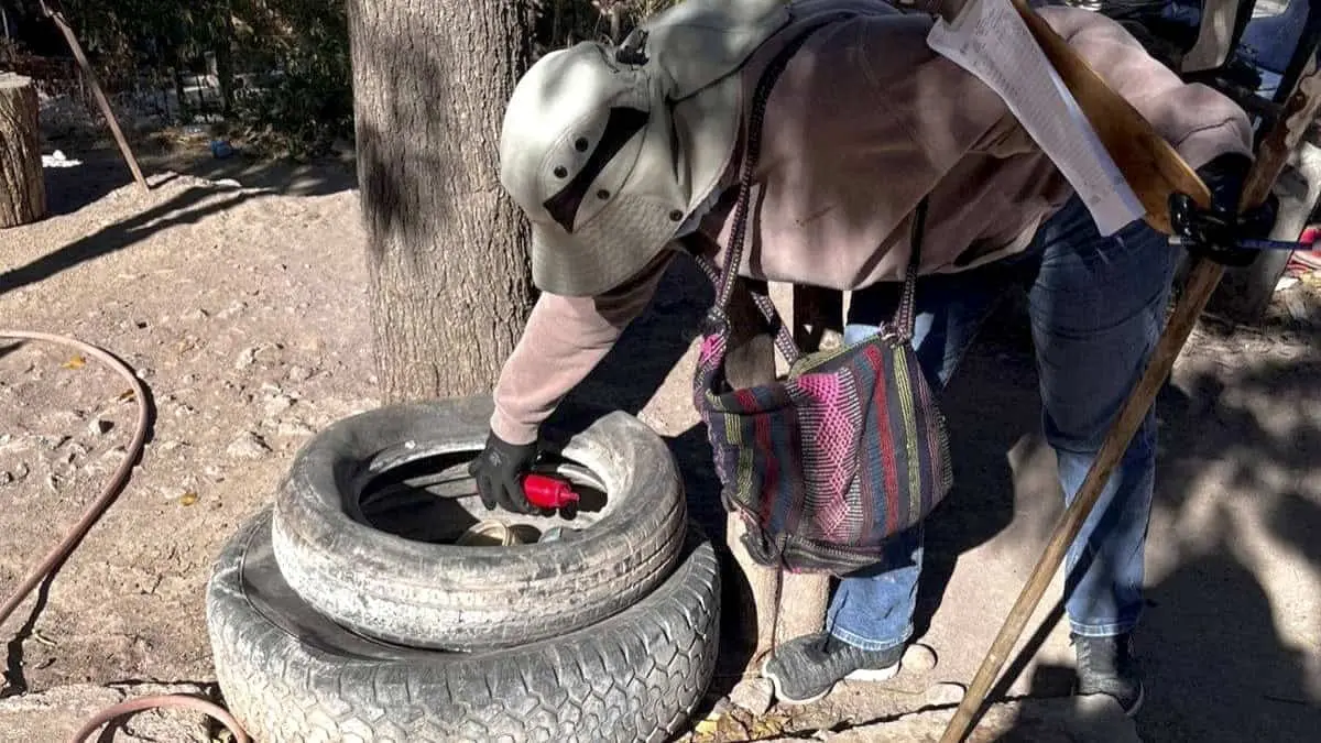 Latente el dengue en la Región del Mayo