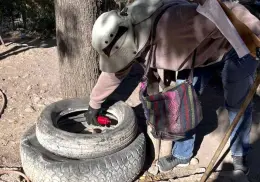Latente el dengue en la Región del Mayo