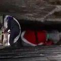Policías rescatan a perrito atrapado entre bardas en la CDMX | VIDEO