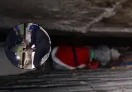 Policías rescatan a perrito atrapado entre bardas en la CDMX | VIDEO