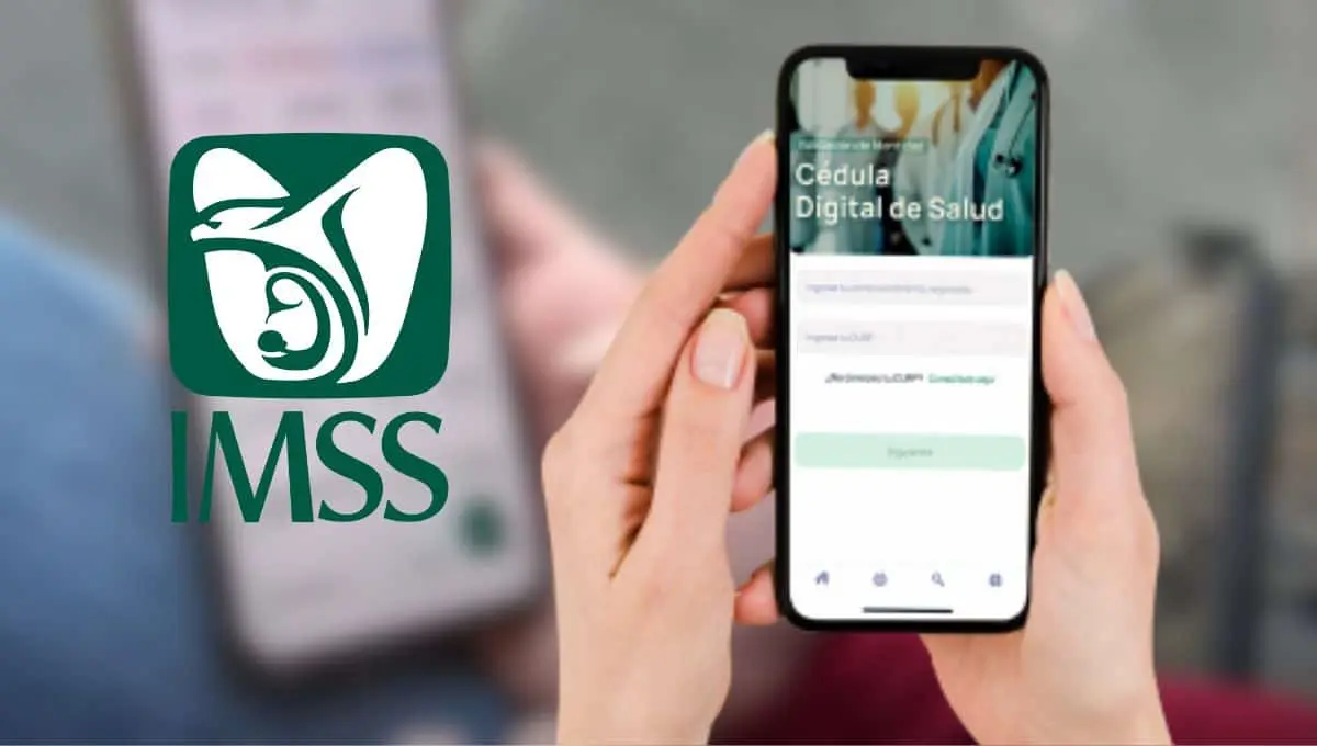 Accede a tu información médica de forma fácil y rápida / Canva, @Tu_IMSS