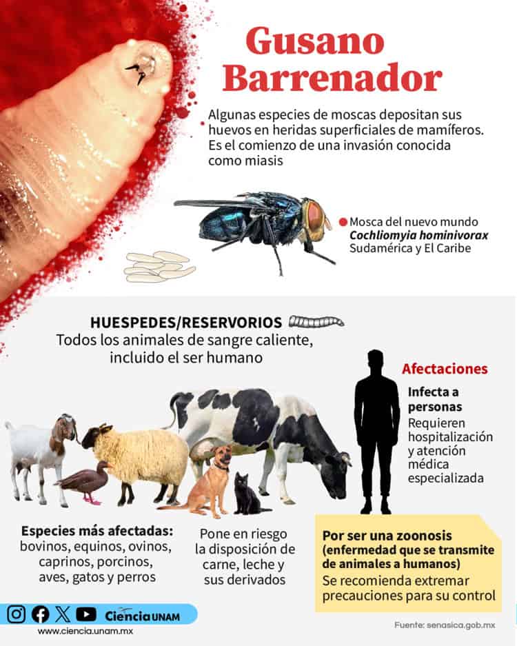 imagen-cuerpo imagen-cuerpo