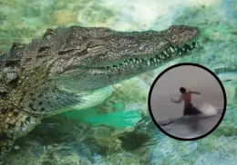 Joven huye de cocodrilo en playa de Puerto Vallarta | VIDEO